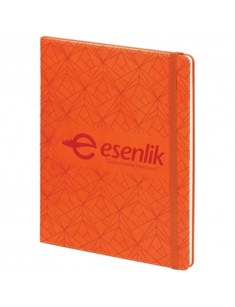 Güngören-Desenli- Tarihsiz Defter