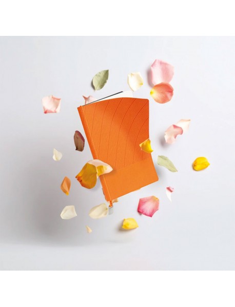 İstinye- Tarihsiz Defter