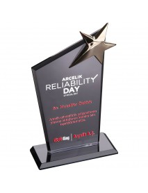 EKT-110- Kristal Plaket