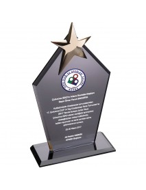 EKT-170- Kristal Plaket