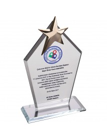 EKT-170- Kristal Plaket