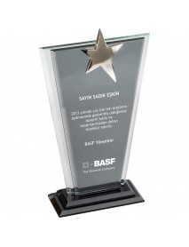 EKT-210 Kristal Plaket