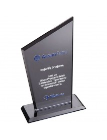 EKT-310- Kristal Plaket